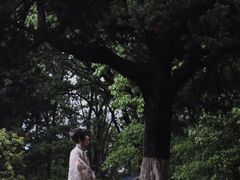 -灵谷景区