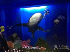 -船奇蒸汽海鲜·闽菜(八市海鲜总店)