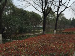 -城市运动公园(未央区)