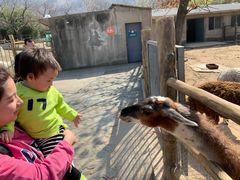 -西安秦岭野生动物园