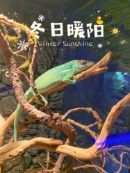 -未来动物城动物主题公园(大悦城店)