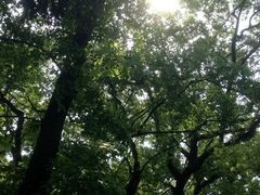 -青龙山国家森林公园