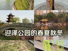 -迎泽公园