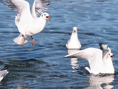 -丽江泸沽湖景区