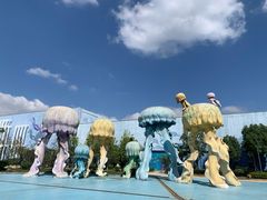 -芜湖新华联大白鲸海洋公园