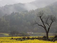 -新安江山水画廊风景区