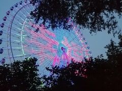 -万泉公园