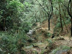 -南山植物园