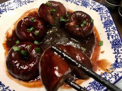 -呼吸森林·生态农庄农家乐私房菜