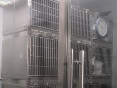 -宠福鑫康馨动物医院·骨科·眼科
