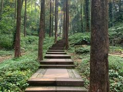 -凤栖山
