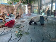 -泉州海丝野生动物世界