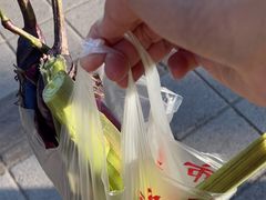 -沪陵农贸市场