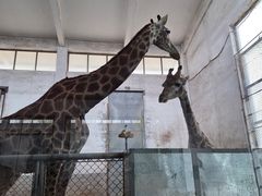 -石家庄市动物园