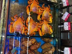 -吴记富苑(朝阳店)