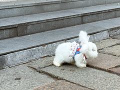 -衣裳街历史文化街区