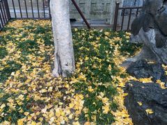 -常熟方塔园