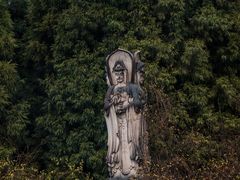 -武陵山森林公园