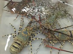 -拉威海鲜市场