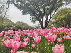 -无锡梅园公园