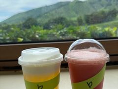 -白茶原·一片叶子