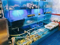 水产区-金龙·打边炉(武进路店)
