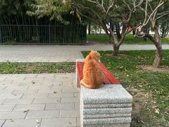 -北坞公园