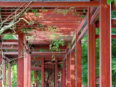 -北山街历史文化街区