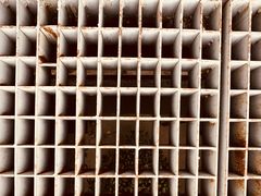 -四川大学(华西校区)