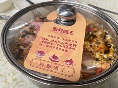 -百利鸽王(紫薇路店)