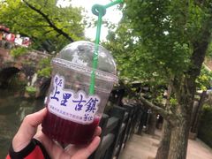 -雅安上里古镇