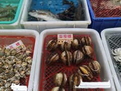 -海儀美食楼(湾仔海鲜街店)
