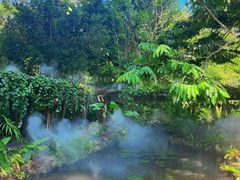 -中国科学院西双版纳热带植物园