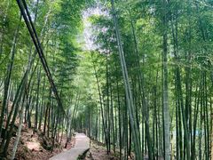 -藏龙百瀑风景区