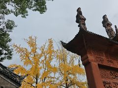 -房湖公园