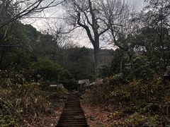 -岣嵝峰国家森林公园