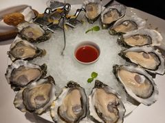 -Oyster Talks 四度蚝法餐厅
