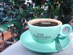 -The Grounds of Alexandria