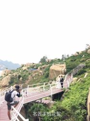 -你好晴天·目的地婚礼