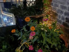 -瓦库茶馆17号(海汇港店)