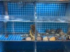 -宾朋海鲜饭庄(兴海路店)