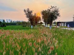 -汉长安城未央宫国家考古遗址公园