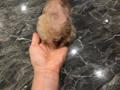 -宠爱国际动物医院· 猫科· 外科·中兽医(长白店)