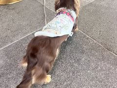 -瑞虹新天地月亮湾