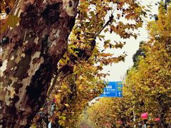 -井冈山风景名胜区