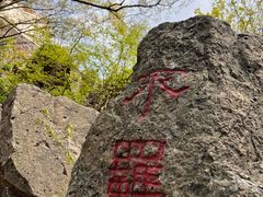 -紫金山山顶公园