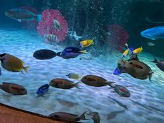 -沈阳海洋探索中心