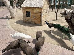 -水上乐园·欢乐世界