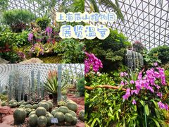 -上海辰山植物园
