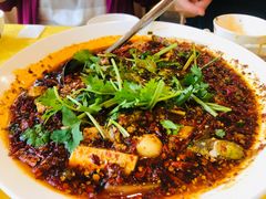 -胖大姐黄辣丁鱼庄(新津店)